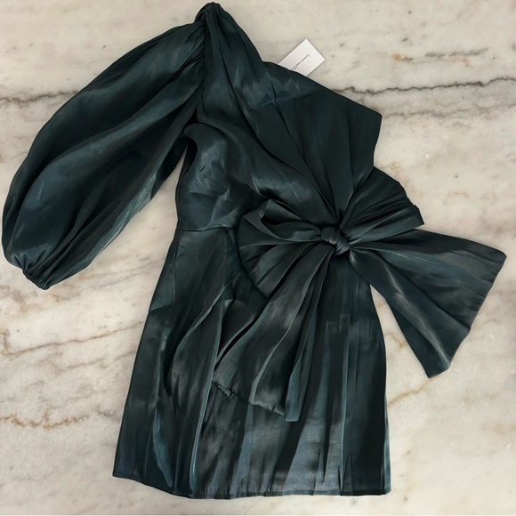 NWT-Kennedy Mini Dress - Picture 5 of 8